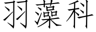 羽藻科 (仿宋矢量字库)