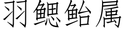 羽鰓鲐屬 (仿宋矢量字庫)