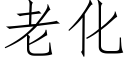 老化 (仿宋矢量字库)