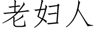 老妇人 (仿宋矢量字库)