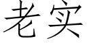 老实 (仿宋矢量字库)