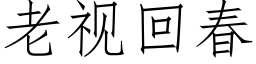 老视回春 (仿宋矢量字库)