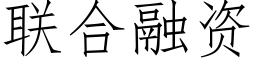 联合融资 (仿宋矢量字库)