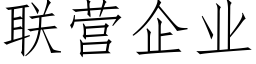 聯營企業 (仿宋矢量字庫)