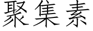 聚集素 (仿宋矢量字庫)