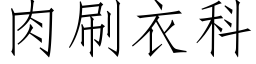 肉刷衣科 (仿宋矢量字库)