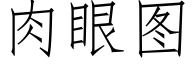 肉眼图 (仿宋矢量字库)