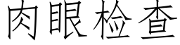 肉眼检查 (仿宋矢量字库)