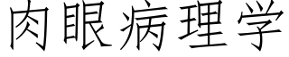 肉眼病理学 (仿宋矢量字库)