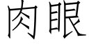 肉眼 (仿宋矢量字庫)