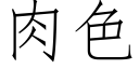 肉色 (仿宋矢量字库)