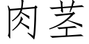 肉莖 (仿宋矢量字庫)