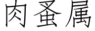 肉蚤属 (仿宋矢量字库)