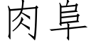 肉阜 (仿宋矢量字庫)