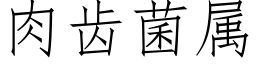 肉齿菌属 (仿宋矢量字库)