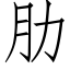 肋 (仿宋矢量字库)