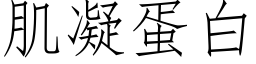 肌凝蛋白 (仿宋矢量字庫)