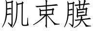 肌束膜 (仿宋矢量字库)