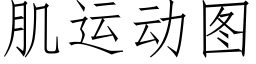 肌運動圖 (仿宋矢量字庫)