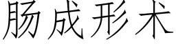 肠成形术 (仿宋矢量字库)