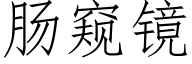 肠窥镜 (仿宋矢量字库)