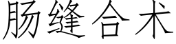 腸縫合術 (仿宋矢量字庫)