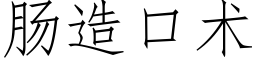 肠造口术 (仿宋矢量字库)