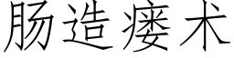 肠造瘘术 (仿宋矢量字库)