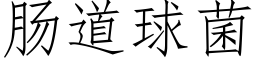 肠道球菌 (仿宋矢量字库)