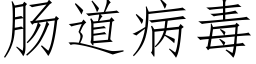 肠道病毒 (仿宋矢量字库)