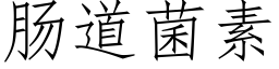 肠道菌素 (仿宋矢量字库)