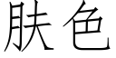 膚色 (仿宋矢量字庫)