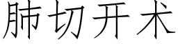 肺切開術 (仿宋矢量字庫)