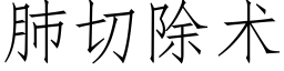 肺切除術 (仿宋矢量字庫)