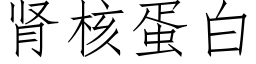 腎核蛋白 (仿宋矢量字庫)