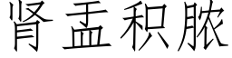 腎盂積膿 (仿宋矢量字庫)