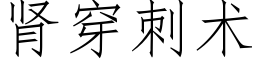 腎穿刺術 (仿宋矢量字庫)