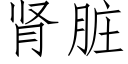 肾脏 (仿宋矢量字库)