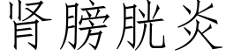 肾膀胱炎 (仿宋矢量字库)