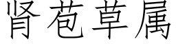 肾苞草属 (仿宋矢量字库)