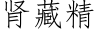 腎藏精 (仿宋矢量字庫)