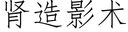 腎造影術 (仿宋矢量字庫)