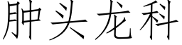 肿头龙科 (仿宋矢量字库)