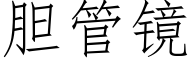 胆管镜 (仿宋矢量字库)