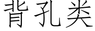 背孔类 (仿宋矢量字库)