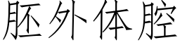 胚外体腔 (仿宋矢量字库)