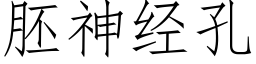 胚神经孔 (仿宋矢量字库)