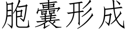 胞囊形成 (仿宋矢量字库)