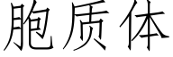 胞质体 (仿宋矢量字库)