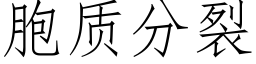 胞质分裂 (仿宋矢量字库)